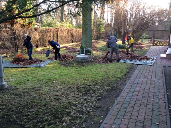 sprzątanie ogrodu Warszawa